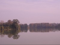 Dolní Polom - rybník