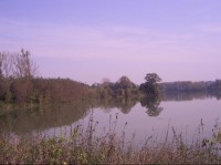 Dolní Polom - rybník