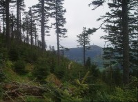 výhled z rezervace na Lysou horu