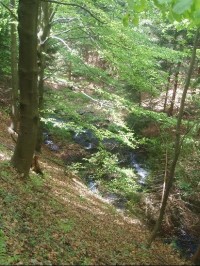 Travenský potok