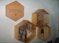 info v expozici muzea včelařství