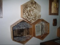  v expozici muzea včelařství