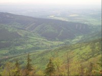 výhledy z MTZ pod vrcholem směr na Přelač - dole Krásná
