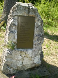 Vánoční strom republiky