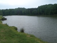 První rybník 2