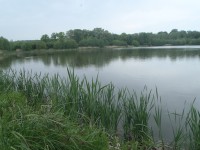 Druhý rybník 1