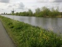 Větrné mlýny v Kinderdijku