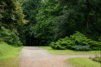 Zámecký park: Zámecký park chotěbořského zámku