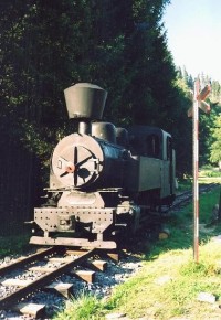 Lesnícky skanzen: Lesní železnice