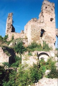 Hrad Divín: Pozůstatky hradního paláce