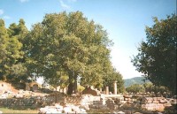Ruiny antické Olympie