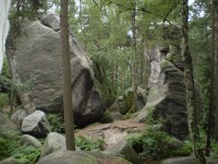 Kalich a Chléviště