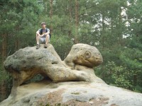 želva v Boreckých skalách