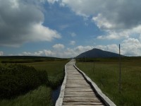 úpské rašeliniště