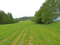 louka u cikánského buku