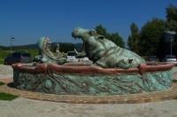 hroši u penzionu u hrocha ve škrdlovicích