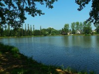 Za Lanškrounskými rybníky a rozhlednou na Kozlovském kopci