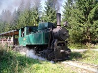 Lesná úvraťová železnica vo Vychylovke