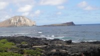 Tvrdá láva na Makapu‘u Beach 