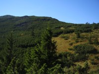 Kráľova skala - pohled na vrchol z červené trasy pod pramenem Zubrovice září 2014)