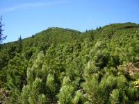 Kráľova skala - pohled k vrcholu ze zelené trasy do Telgártu (září 2014)