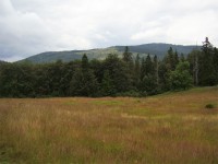 Wielka Racza - pohled na horu od jihovýchodu z polany pod horou Bugaj(červen 2013)