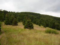 Mała Racza - podhled na vrchol ze sedla Przełęcz pod Orłem (červen 2013)