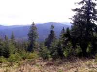 Rysianka - pohled z pěšiny ze sedla Przełęcz Pawlusia k chatě Schronisko PTTK na Hali Rysiance (květen 2011)