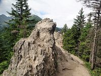 Gęsia Szyja - skalky na západ od vrcholu (červenec 2020)