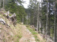 Kozí hřbety na žluté tur, trase vevoucí jižním úbočím (květen 2009)