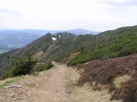 Kozí hřbety - tur. trasa jižním úbočím (květen 2009) 