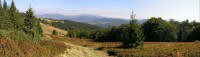 Rycierova hora - panorama Oravských Beskyd (pohled z místa asi 50 m od vrcholu na červené trase do polského vnitrozemí)