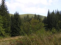 Rycierova hora - pohled z výstupové trasy z Podrycirovej do sedla Príslop (září 2009)