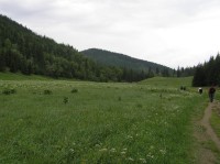 Dolina Małej Łąki - Wielka Polana Małołącka (červen 2010)