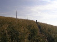 Poludňový grúň - pod vrcholem při výstupu ze Stohového sedla (srpen 2010)