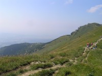 Cheb - pohled na jižní úbočí hory ze Sedla za Hromovým (srpen 2010)