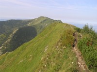 Pekelník - pěšina po hřebeni k vrcholu (v pozadí vlevo Malý Kriváň) (srpen 2010)