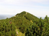 Sratenec - vrchol hory od jihozápadu, z vrcholového hřebene (srpen 2010)
