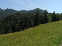 Suchý - pohled z polany Javorina (srpen 2010)