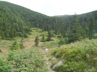 Sedlo Pálenica - pohled na sedlo z doliny Pribišská (červenec 2008)