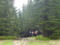 Iwaniacka Przełęcz - stezka k Halo Ornak (květen 2014)