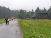 Dolina Chochołowska - na Siwej polane (červen 2010)