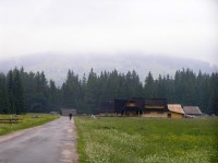 Dolina Chochołowska - Siwa Polana