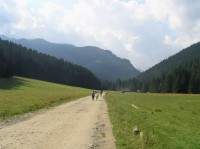Dolina Kośteliska - Wyżnia Kira Miętusia (v pozadí Červené vrchy)