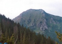 Osobitá (1687,2m n. m.): Pohled z  hřebene mezi Lúčnou a Osobitou.