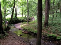 Jarkovský potok na okraji Černého lesa - střední tok