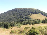 Osnica - pohled na horu z modré trasy na východním úbočí Veľ. Rozsutca (srpen 2011)