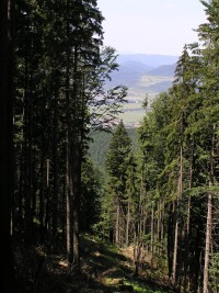 Plešel - pohled z vrcholu dolů, po hradnom hrebeni (červenec 2006)