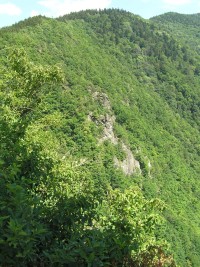 Plešel - pohled ze Starého hradu k vrcholu (červenec 2006)