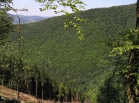 Plešel - pohled z Hradného hrebeňa do doliny Hradské (červenec 2006)